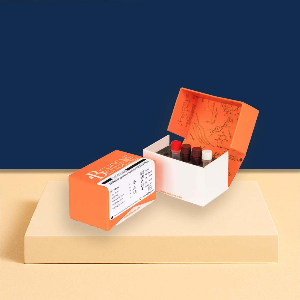 کیت BehDx تشخیص Real Time PCR - ژیوان