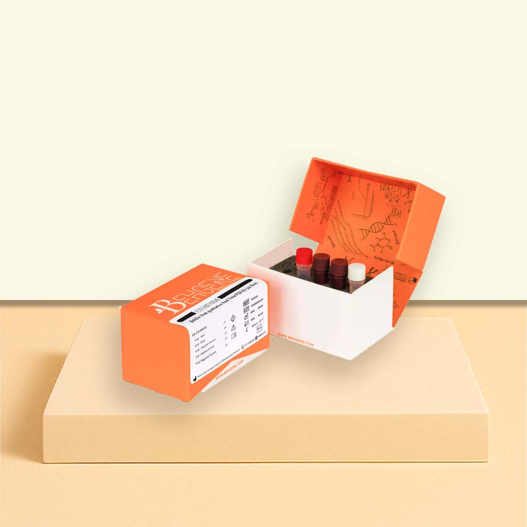 کیت BehDx تشخیص Real Time PCR - ژیوان