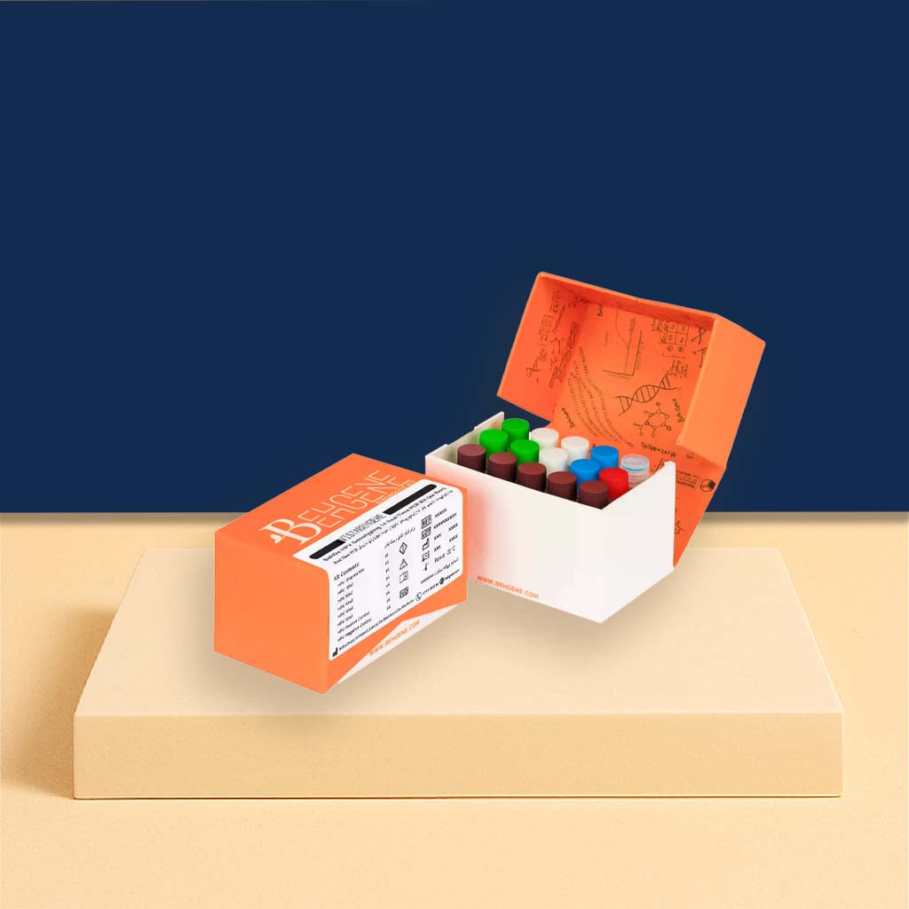 کیت BehDx ژنوتایپینگ HPV Real Time PCR - ژیوان