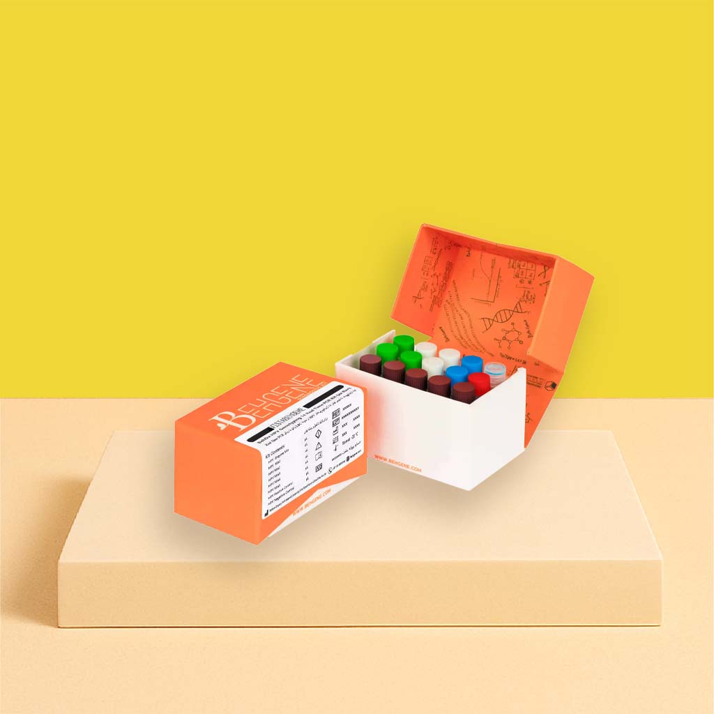 BehDx HPV Screening 14 Real Time PCR Kit
