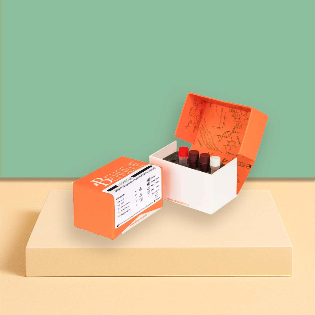 کیت BehDx تشخیص Real Time PCR - ژیوان