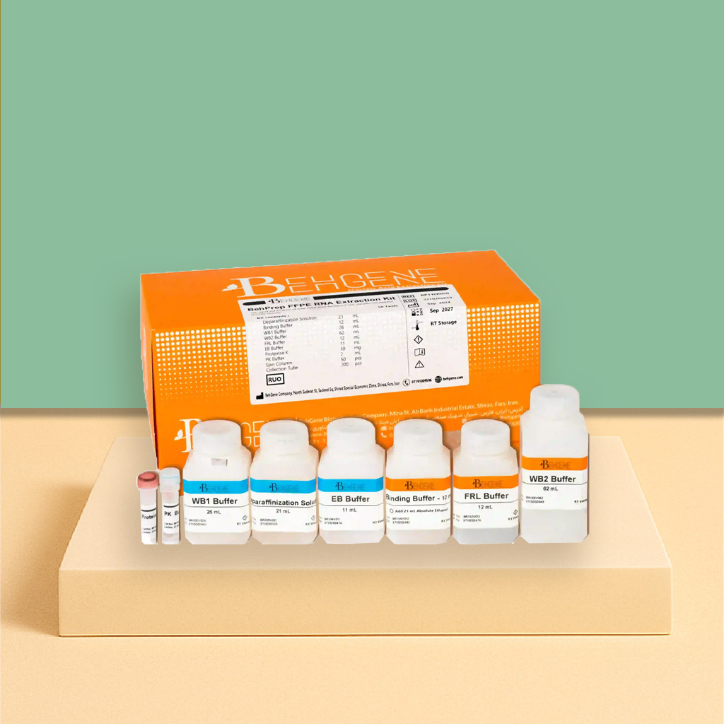 BehPrep FFPE RNA Extraction Kit
