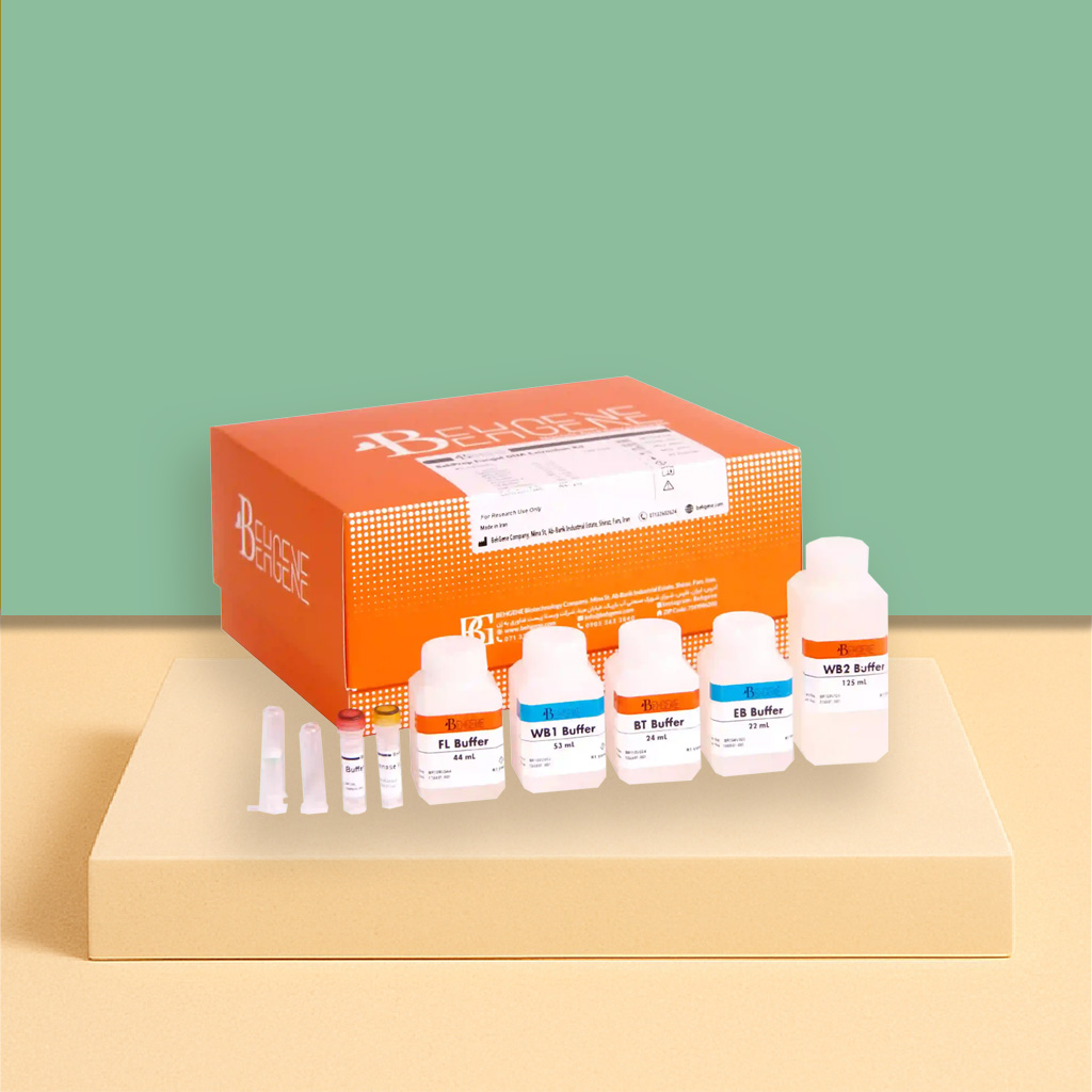 BehPrep Fungal DNA Extraction Kit